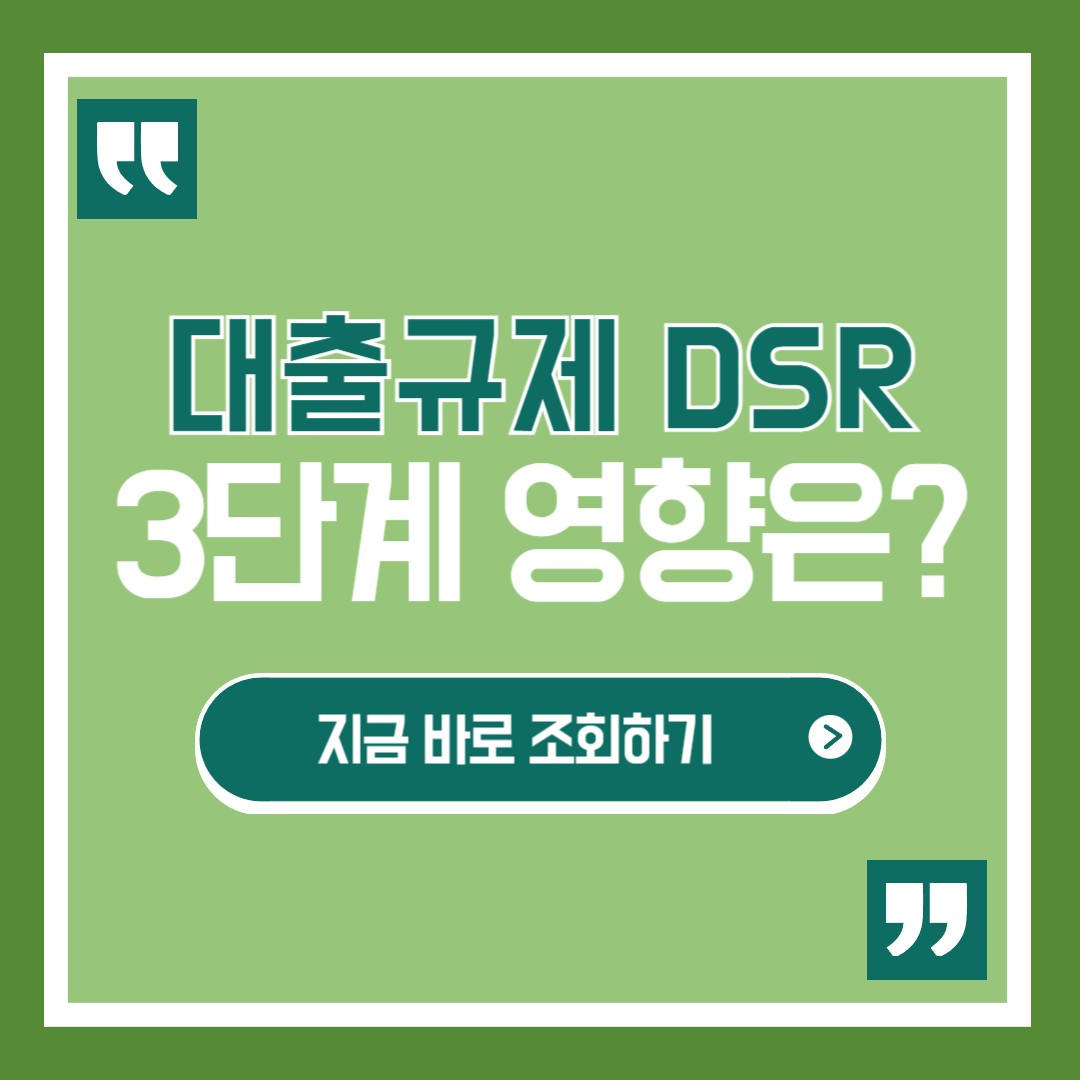 대출규제 DSR