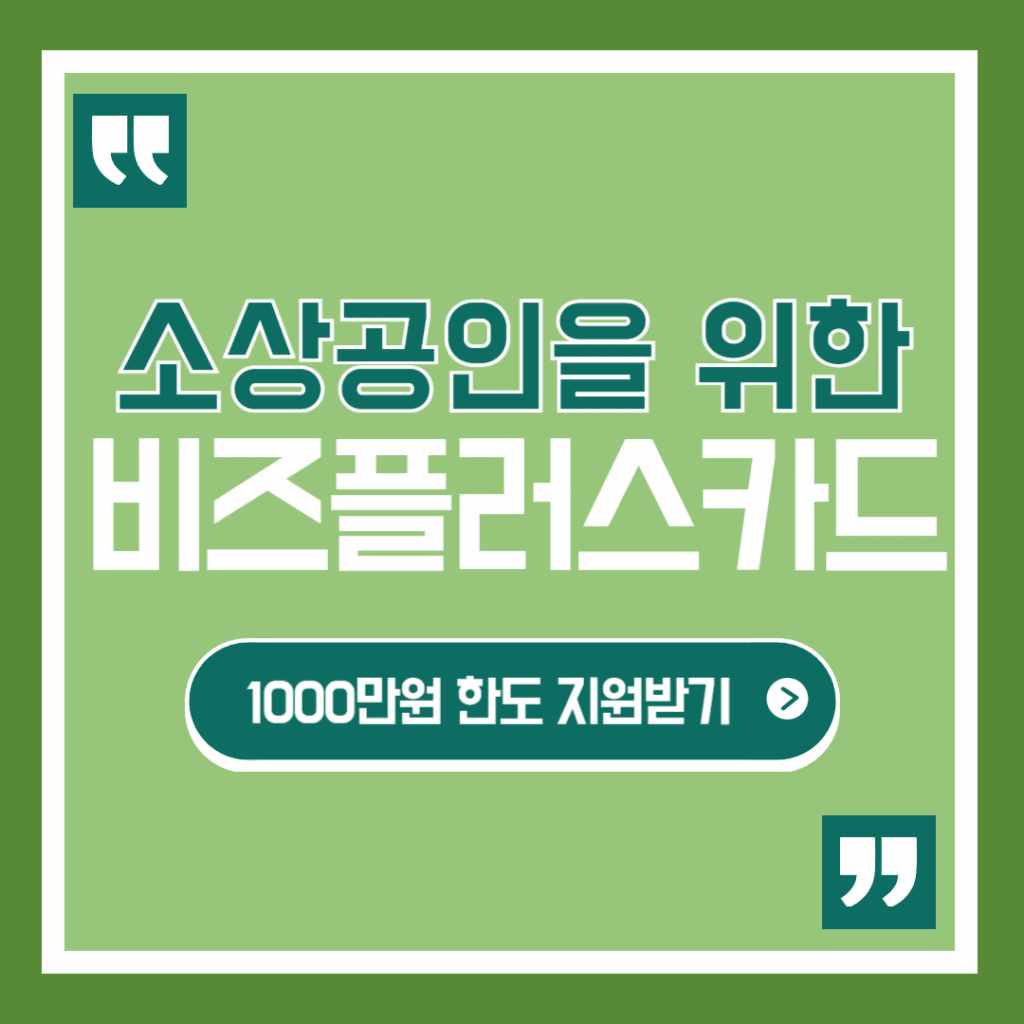 소상공인 비즈플러스카드